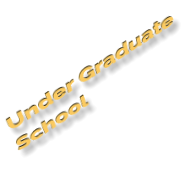 Under Graduate  School
